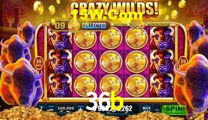 cassino 36b